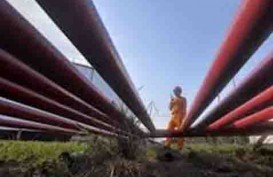 Nasib Gas Kepodang : PLN Belum Ambil Keputusan